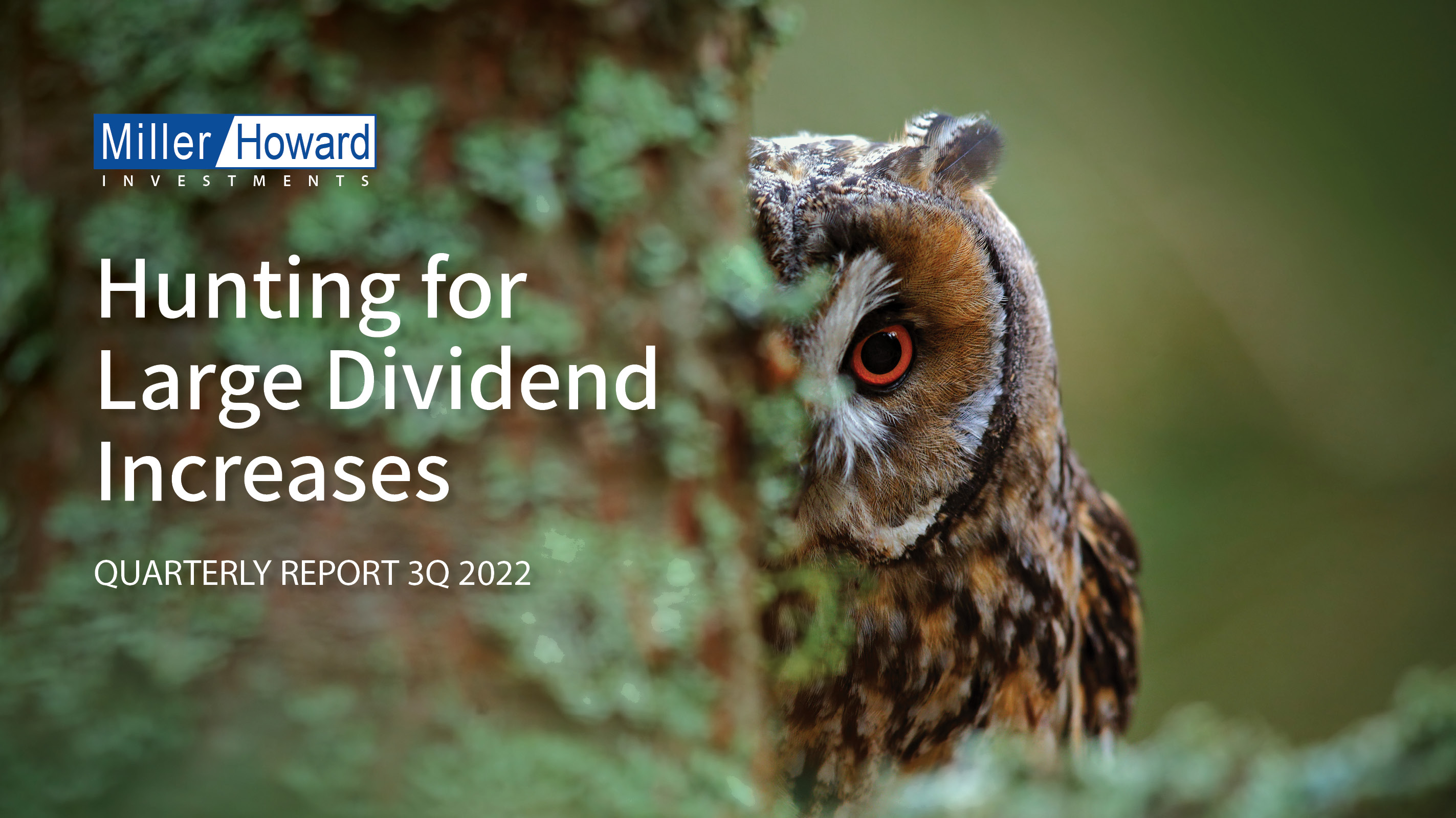 Quarterly Report 2022 Q3 - Hunting for Large Dividend Increases